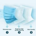 3 -ply face mask (3)