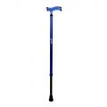 Vissco Aluminium Avanti Plus T Shape Single Stick, Blue